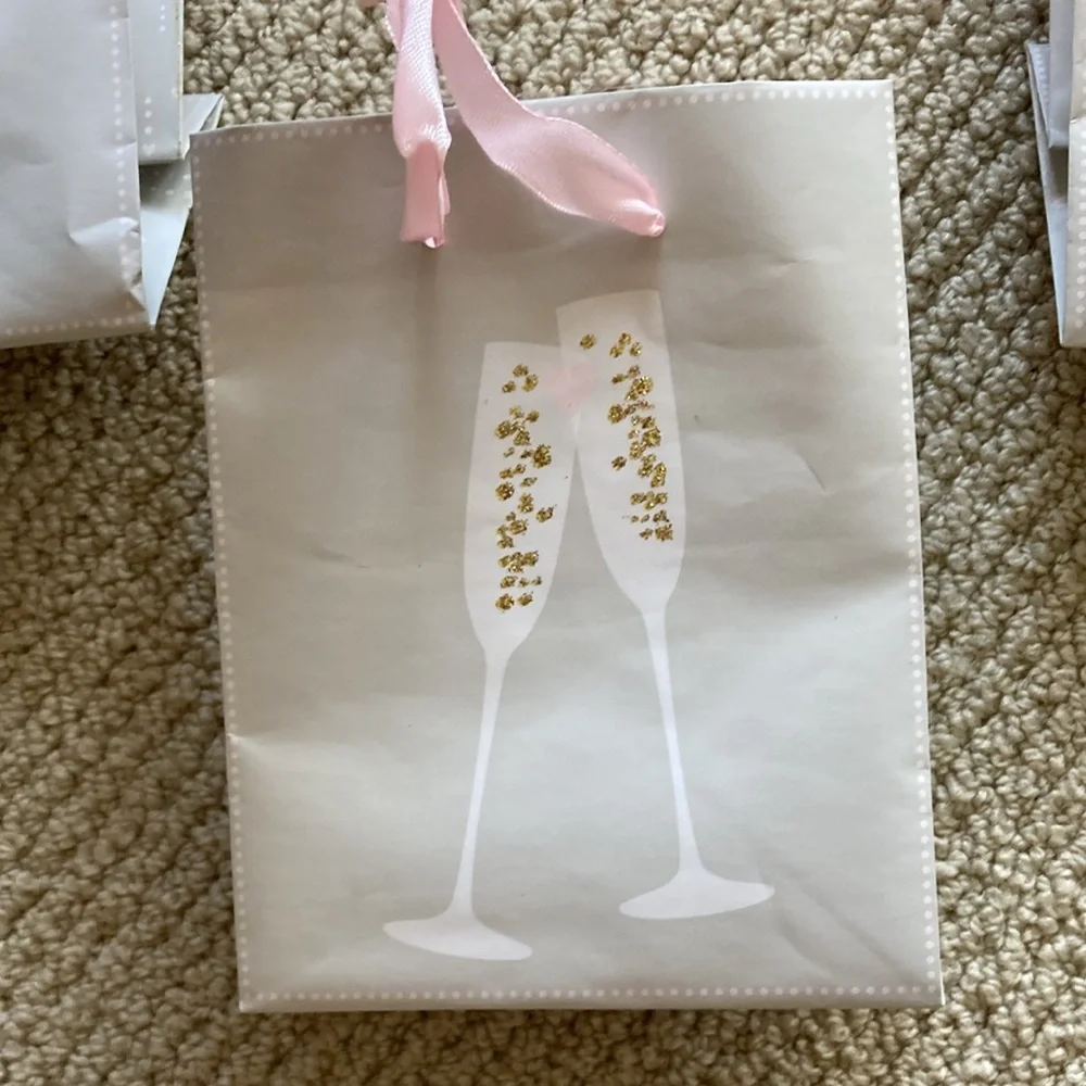 Small Champagne Gift Bags Set of 5 Like New Grad Bachelorette Engagement Party